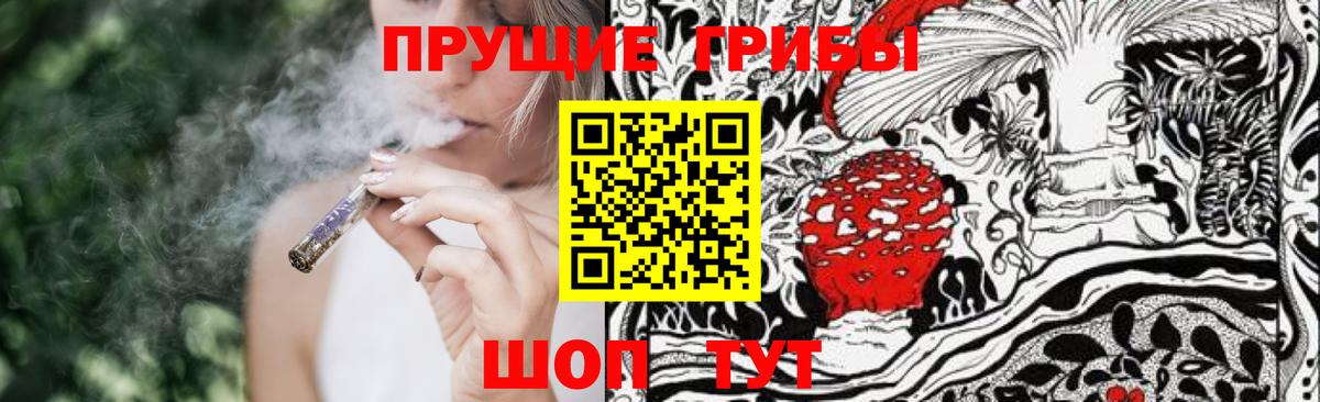 где найти   Псилоцибиновые грибы Psilocybine cubensis  Вход с VPN  Выборг  Псилоцибиновые грибы Psilocybe 