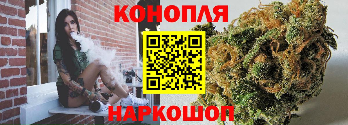Конопля сатива Выборг